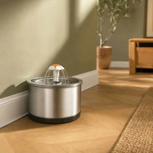 Fontaine à eau chat design inox — Klar