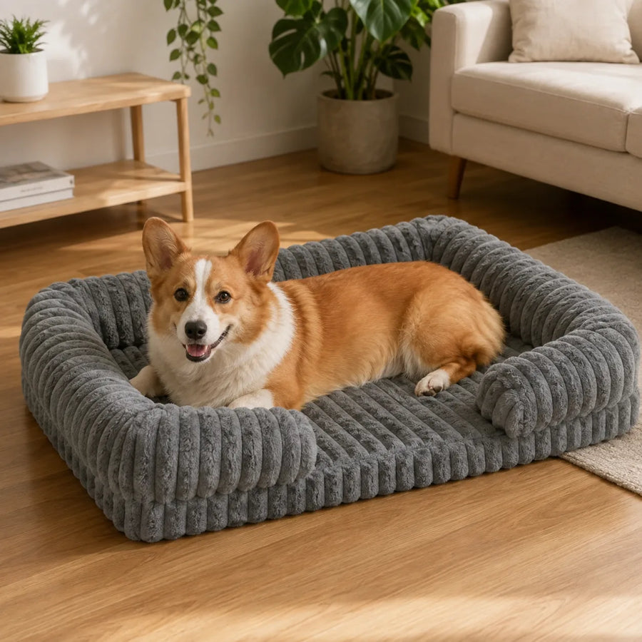 Padded Dog Bed with Removable Cover — Runa