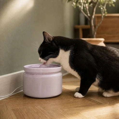 Fontaine à eau chat céramique silencieuse — Skum