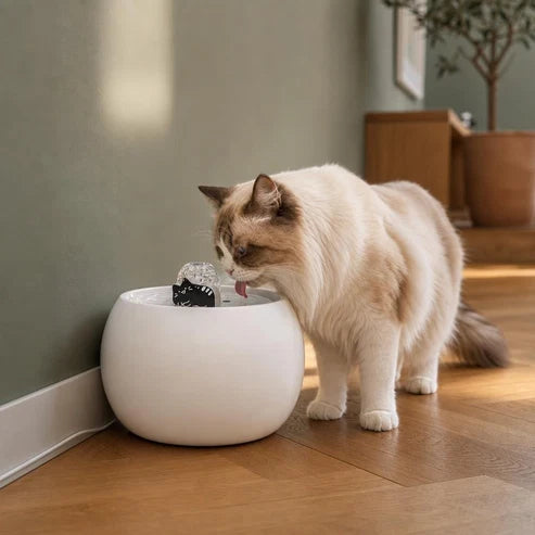 Fontaine à eau chat céramique crème — Kilde