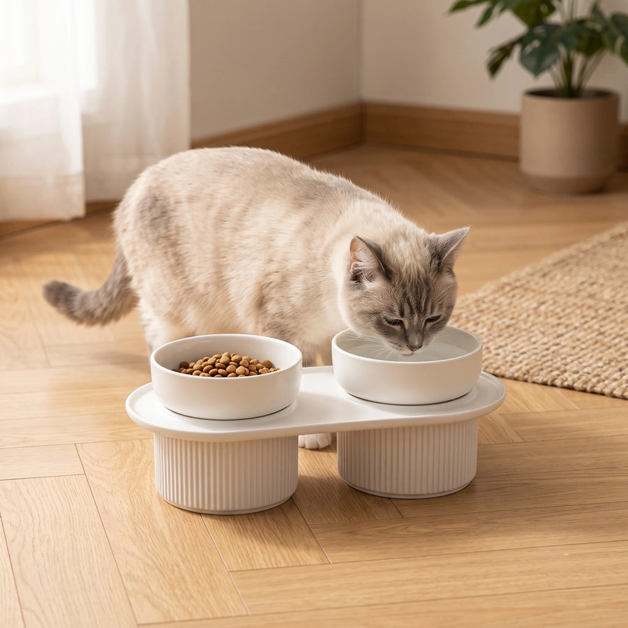 Elevated Double Ceramic Pet Bowl — Søyle