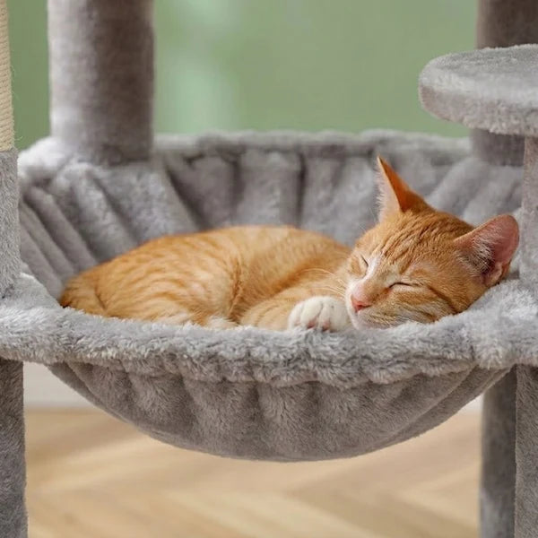 Large Maine Coon Cat Tree — Alm