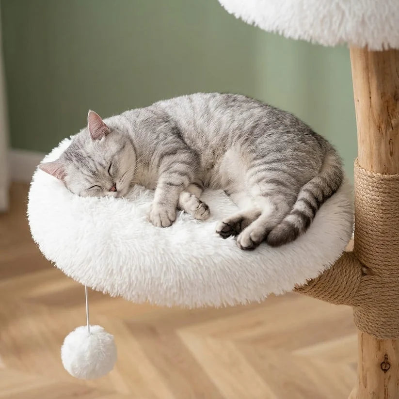 Designer Driftwood Cat Tree — Strand