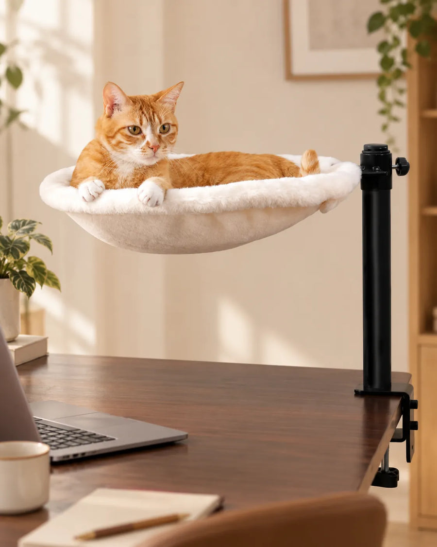 Swivel Desk Cat Bed — Nära