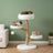 Strand driftwood cat tree in a bright interior with natural tones