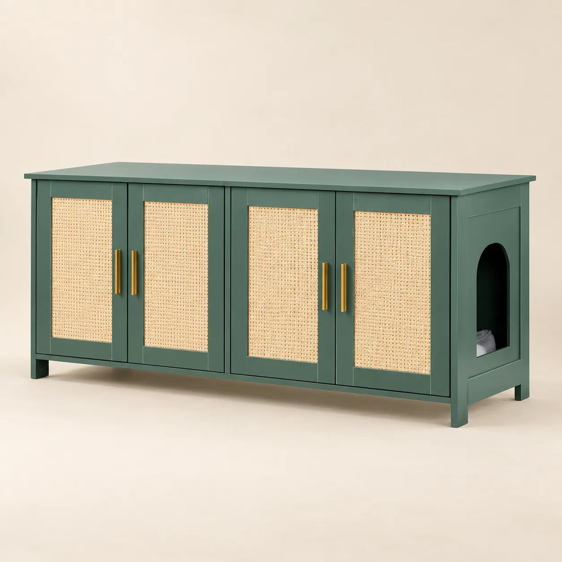 A cabinet, not a visible litter box