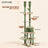 Dimensions de l’arbre à chat Kaktus