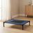 Bris raised dog bed styled in an interior