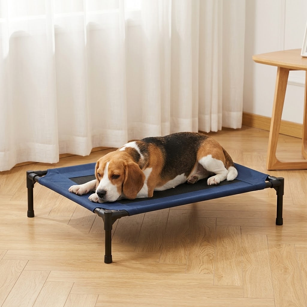 Dog resting on the Bris raised bed