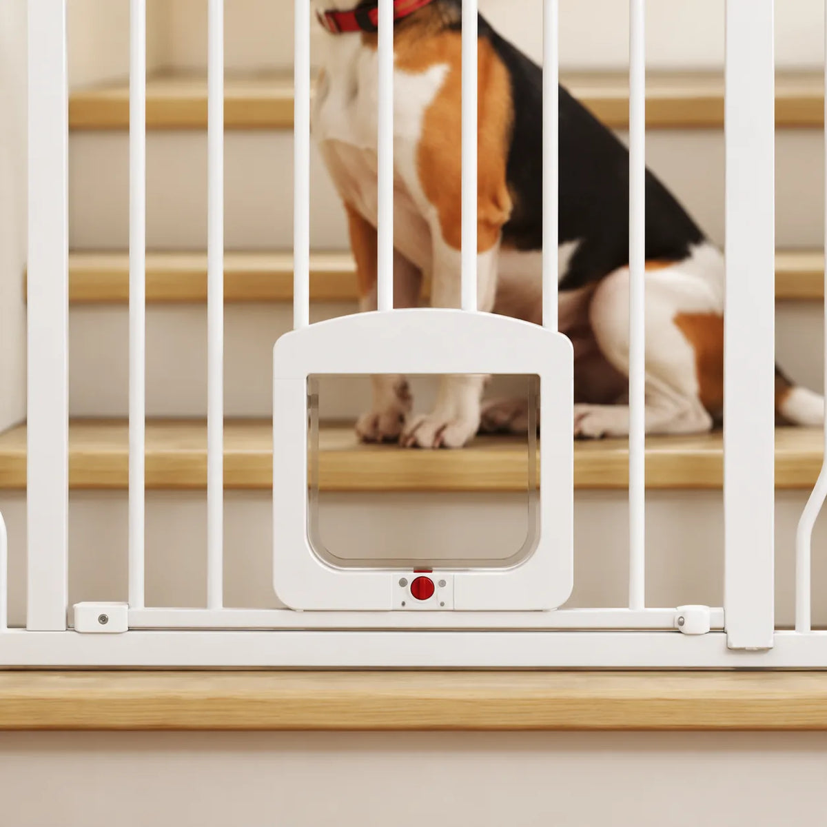 Barrière pour chien Sluse - vue 4